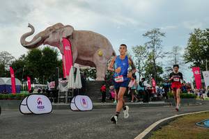 BIB: 
                            <button type="button" onclick="openModal(26528940)" class="btn btn-primary btn-sm float-right btn-popup" data-toggle="modal" data-target=".modal-high-quality">
                        <i class="fas fa-shopping-cart"></i> Add to Cart
                    </button>
                                            <button type="button" onclick="isThisMe(26528940, true)" class="btn btn-success btn-sm float-right btn-popup btn-isme hidden" data-toggle="tooltip" data-placement="bottom" title="นี่คือรูปของคุณใช่ไหม คลิกที่นี่เพื่อเอาเข้าอัลบั้ม">
                        <i class="fas fa-plus"></i> Add to album
                    </button>
                    <button type="button" onclick="isThisMe(26528940, false)" class="btn btn-warning btn-sm float-right btn-popup btn-isnotme hidden">
                        <i class="fas fa-ban"></i> Remove from album
                    </button>